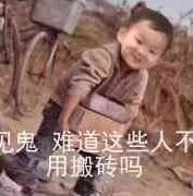 灵文对决萌新卡组攻略