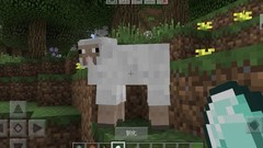 我的世界：移动版骑羊新玩法