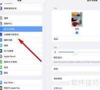 iPad Pro缩放滤镜设置方法