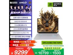 机械革命苍龙18 Pro游戏本9245元