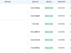 小米玄戒O1芯片量产破百万，加速布局车规级芯片与全场景IP生态