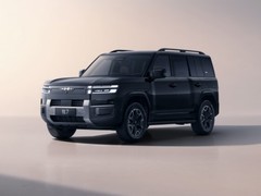 谁是你的理想型?20万左右新能源SUV五款高关注车型深度评测