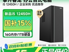 攀升兄弟i5 12450H办公主机