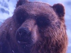 魔兽世界：无限Beta测试热度爆棚，服务器两度扩容应对高并发