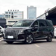 30万内7座MPV怎么选？三款智电新车深度对比，家用出行新答案