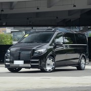 万元级豪华MPV新选择：5款汽油+48V轻混中大型车型推荐