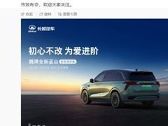 魏牌高层再调整：九年八任CEO背后的高端化困局与破局之路