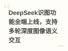 DeepSeek识图功能全端上线，支持多轮深度图像语义交互