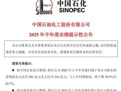 中国石化2025上半年净利预降近四成，新能源布局加速推进