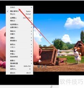如何用ftis播放器保存图像