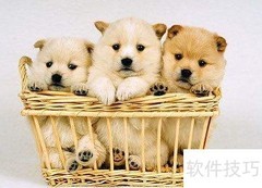 长久友情的维系之道