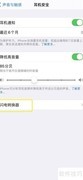 iPhone忽略所有转换器方法