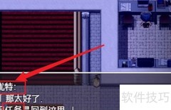 她伪装贵族执行间谍任务