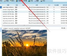91剪报设置选项教程