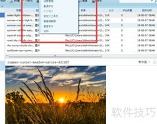 91剪报设置选项教程
