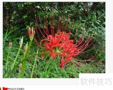 人人网删除头像相册教程