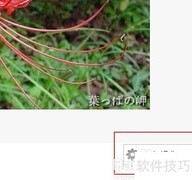 人人网删除头像相册教程