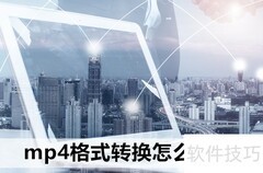 MP4格式转换操作指南