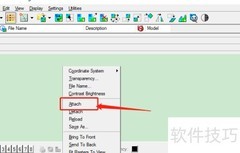 Terrasolid影像导入指南