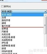 Readiris设置文档语言指南
