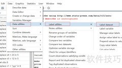 提升Stata数据可读性技巧