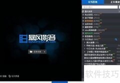 BHD转FLV格式转换指南