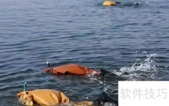 海参专卖价格影响因素