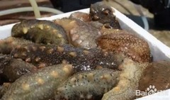 海参专卖价格影响因素