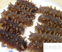 海参专卖挑选技巧分享