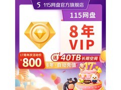 115网盘8年VIP仅800元，40TB空间速存速看！