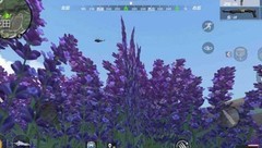 穿越火线：伏地魔养成指南