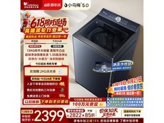 小天鹅小乌梅5.0波轮洗衣机钜惠