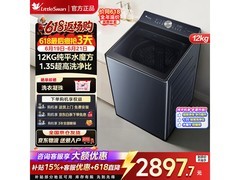 小天鹅小乌梅12KG波轮洗衣机