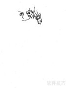 萨博简笔画：航海王系列