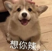 万国觉醒洛哈双盾流通关攻略