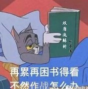 万国觉醒洛哈双盾流通关攻略