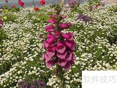 人品无价，贵在真诚