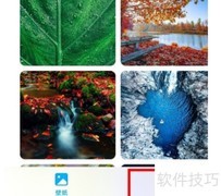 荣耀50 Pro开启动态桌面教程