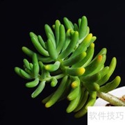 八千代养护技巧全解析