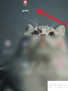 省啦啦积分查询方法