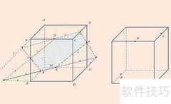 数学中的截面定义解析