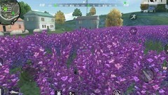 穿越火线-枪战王者：荒岛花田生存指南