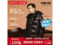 网易严选95%白鹅绒羽绒服京东低价促