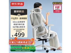 京东京造人体工学椅495元