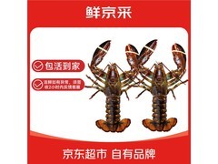 端午特惠！鲜京采400 - 500克两只波士顿龙虾209元