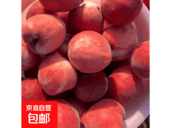 湖北头茬露天桃尝鲜装，1斤仅3.99元！