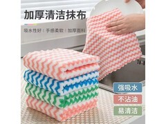 亮羽家用加厚珊瑚绒抹布，20*20CM 仅售 3.01 元