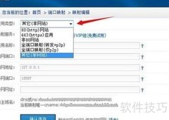 花生壳内网建站指南