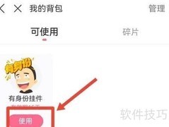 皮皮搞笑挂件使用指南