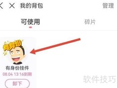 皮皮搞笑挂件使用指南